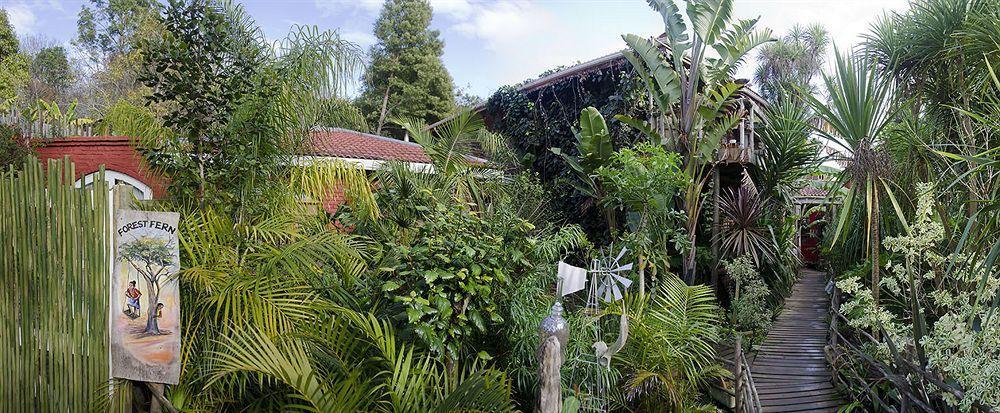 The Bamboo Lodge In Knysna Exterior photo
