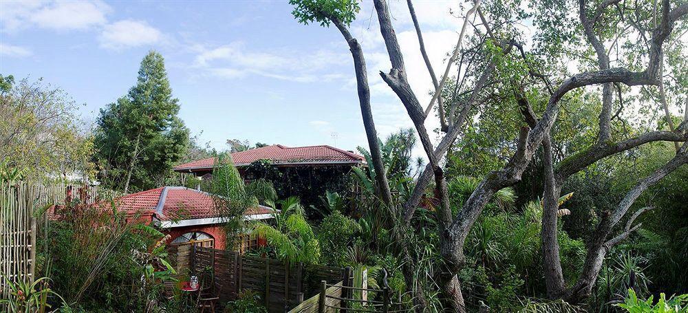 The Bamboo Lodge In Knysna Exterior photo