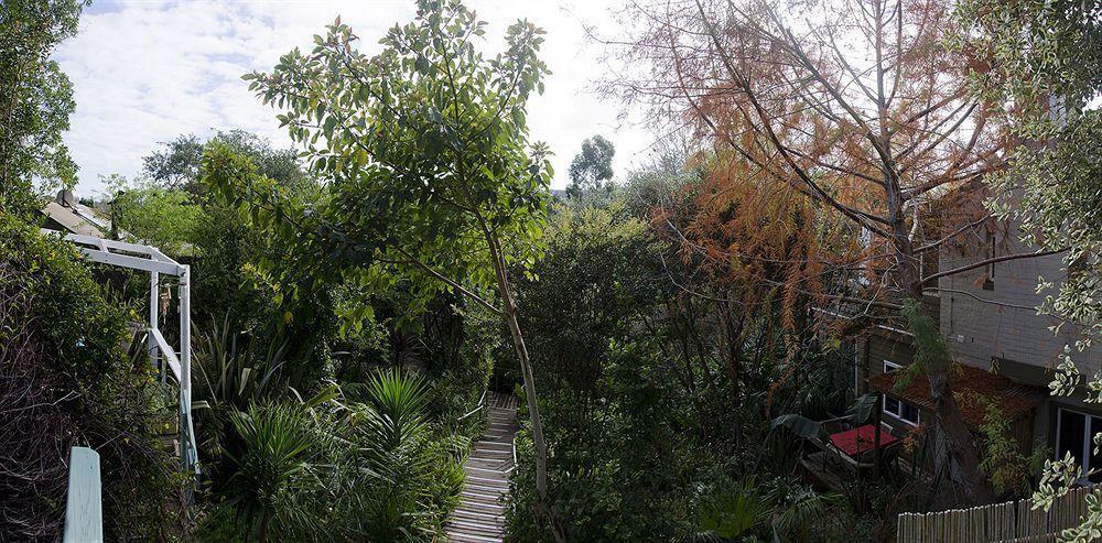 The Bamboo Lodge In Knysna Exterior photo